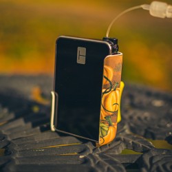 Pumpkins - Angel Kydex Holster Medtronic 780G